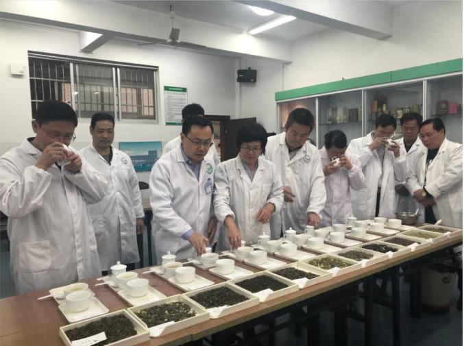 瀟湘茶業(yè)開展花茶審評和座談會，劉仲華院士等專家共謀花茶產業(yè)發(fā)展