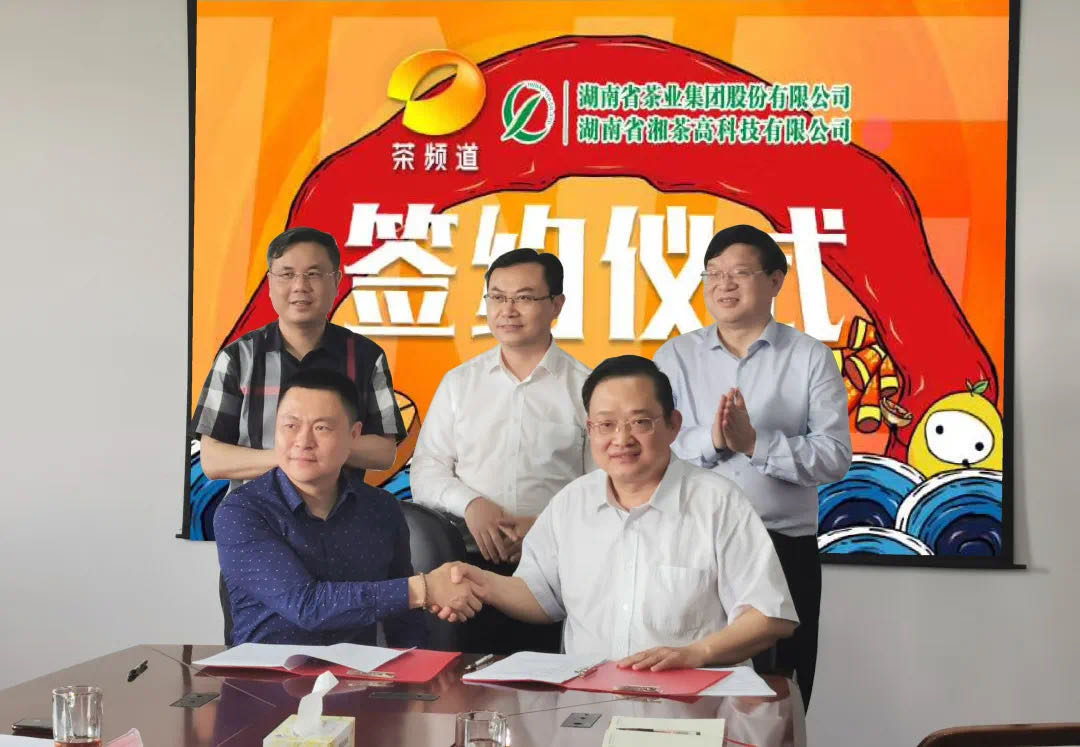 院士見證，輕輕茶發(fā)力品牌建設，與茶頻道達成深度合作