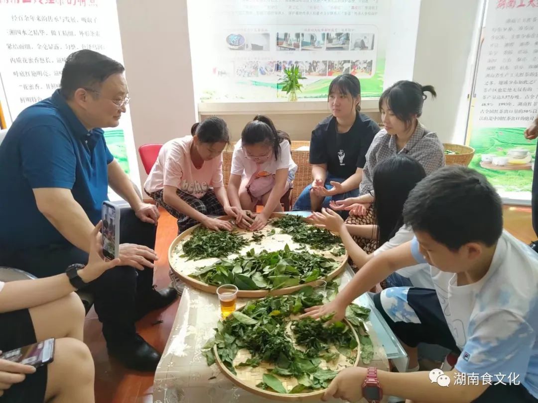 原載人民日?qǐng)?bào)“人民視點(diǎn)”茶葉是怎樣做出來(lái)的？湖南大、中、小學(xué)生體驗(yàn)湖南工夫紅茶制作